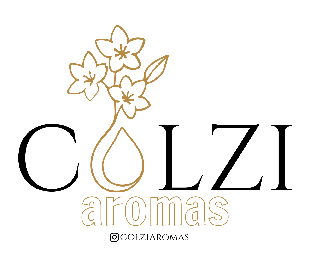 Logo COLZI (1).png